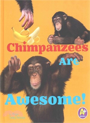 Chimpanzees Are Awesome!