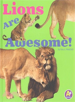 Lions Are Awesome!