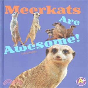 Meerkats Are Awesome!