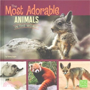 The Most Adorable Animals in the World