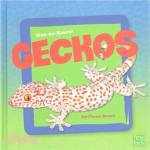 Get to Know Geckos