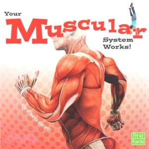 Your Muscular System Works!