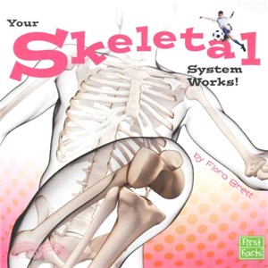 Your Skeletal System Works!