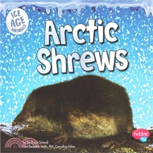 Arctic Shrews