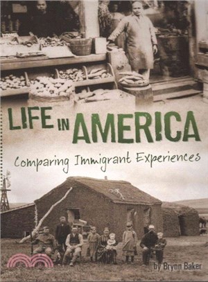 Life in America ─ Comparing Immigrant Experiences