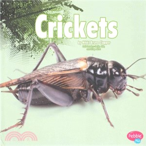 Crickets