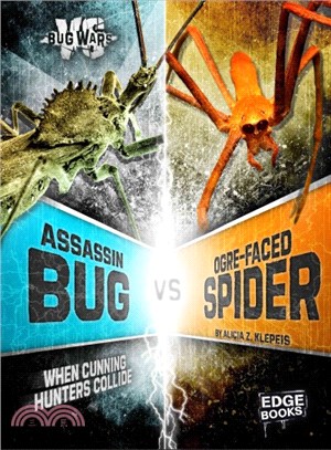 Assassin Bug Vs. Ogre-Faced Spider ─ When Cunning Hunters Collide