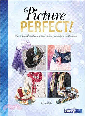Picture Perfect! ─ Glam Scarves, Belts, Hats, and Other Fashion Accessories for All Occassions