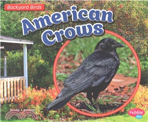 American Crows