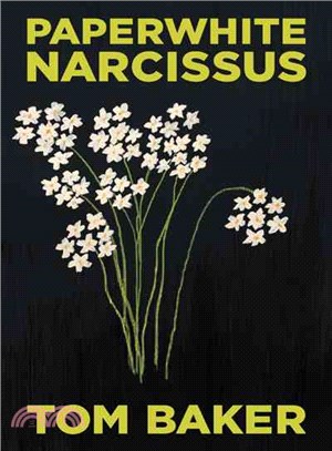 Paperwhite Narcissus