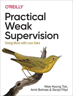 Weakly Supervised Learning ― Doing More With Less Data