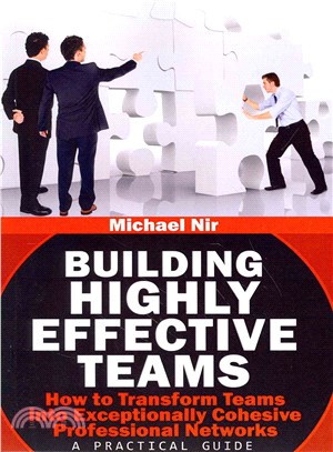 Building Highly Effective Teams ― How to Transform Virtual Teams to Cohesive Professional Networks - a Practical Guide