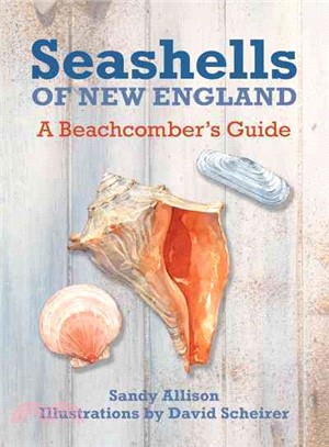 Seashells of New England ─ A Beachcomber's Guide