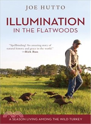 Illumination in the Flatwoods ― A Season With the Wild Turkey