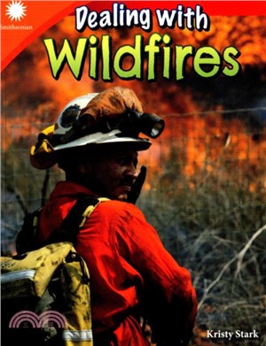 Dealing with wildfires
