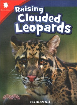 Raising clouded leopards