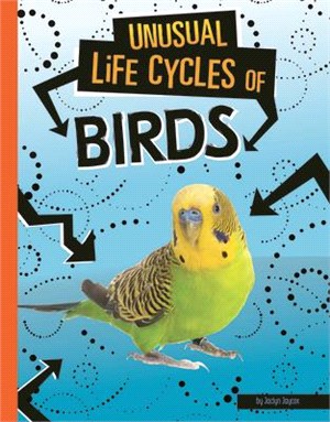 Unusual Life Cycles of Birds