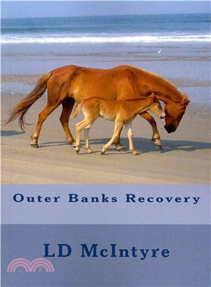 Outer Banks Recovery