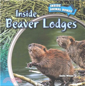 Inside Beaver Lodges