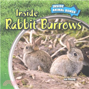 Inside Rabbit Burrows