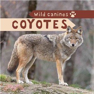 Coyotes