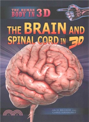 The Brain and Spinal Cord in 3d