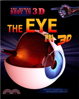 The Eye in 3D