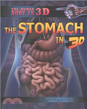 The Stomach in 3d