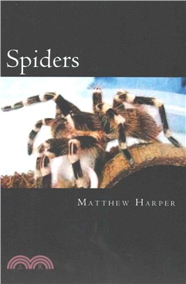 Spiders ― A Fascinating Book Containing Spider Facts, Trivia, Images & Memory Recall Quiz: Suitable for Adults & Children