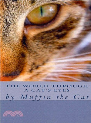 The World Through a Cat's Eyes