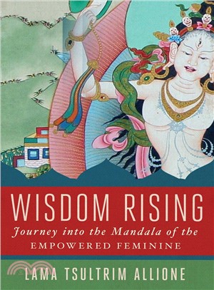 Wisdom rising :a journey int...
