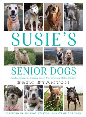 Susie's Senior Dogs