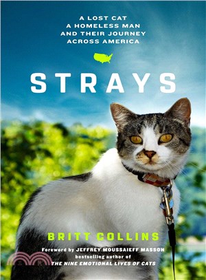 Strays :a lost cat, a homeless man, and their journey across America /