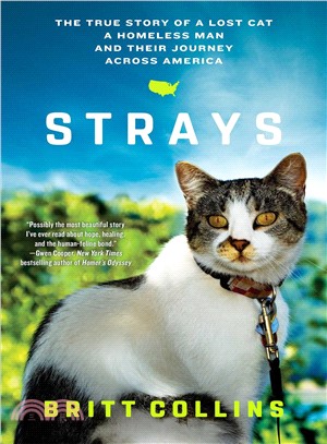 Strays ― The True Story of a Lost Cat, a Homeless Man, and Their Journey Across America