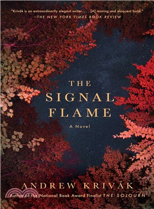 The signal flame :a novel /