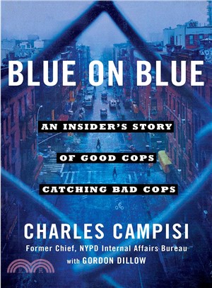 Blue on Blue ─ An Insider's Story of Good Cops Catching Bad Cops