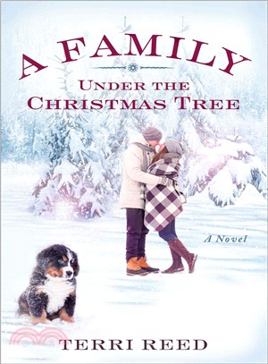 A Family Under the Christmas Tree ─ A Novel