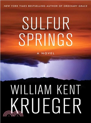 Sulfur Springs :a novel /