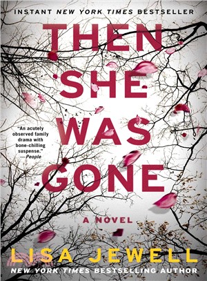 Then she was gone :a novel /
