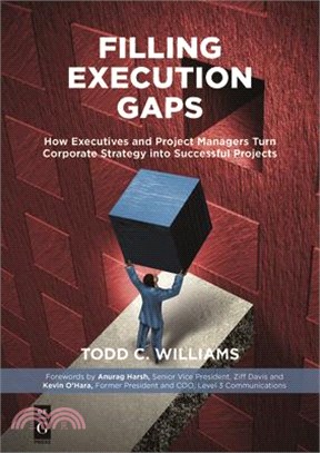 Filling Execution Gaps ― How Executives and Project Managers Turn Corporate Strategy into Successful Projects