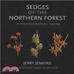 Sedges of the Northern Forest ― A Photographic Guide