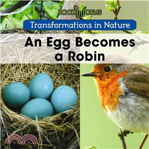 An Egg Becomes a Robin