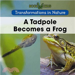 A Tadpole Becomes a Frog