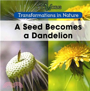 A Seed Becomes a Dandelion