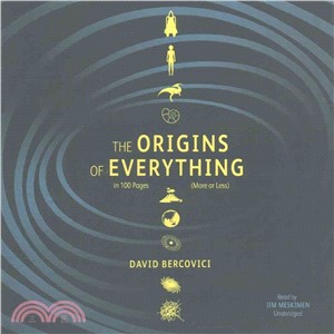 The Origins of Everything in 100 Pages (More or Less)