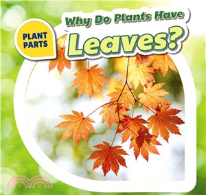 Why Do Plants Have Leaves?