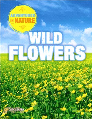 Wild Flowers /