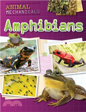 Amphibians