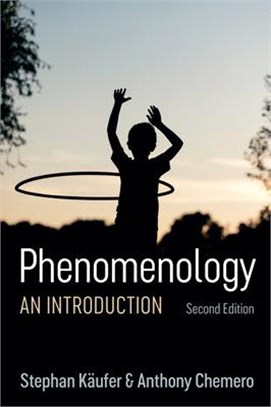 Phenomenology - An Introduction