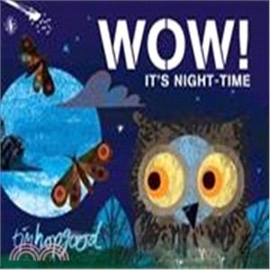 WOW！It's Night-time